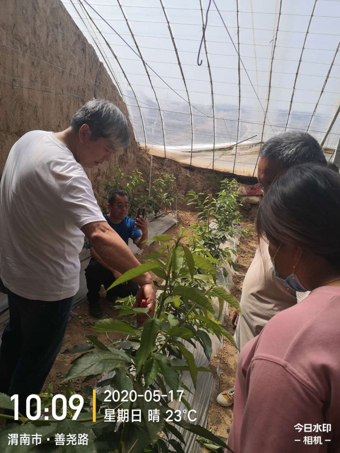 萬老師現(xiàn)場培訓農戶1.jpg